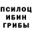 Псилоцибиновые грибы ЛСД Holly Zena