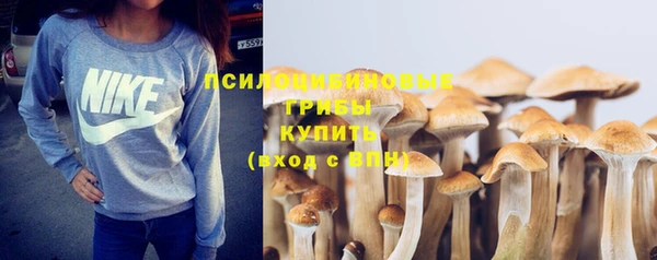 мдпв Куйбышев