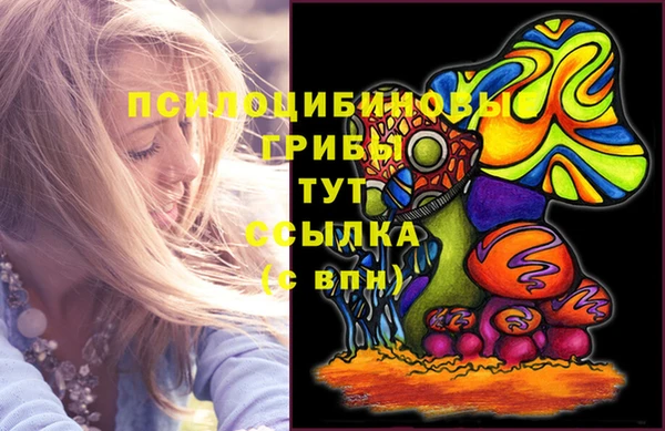 мдпв Куйбышев