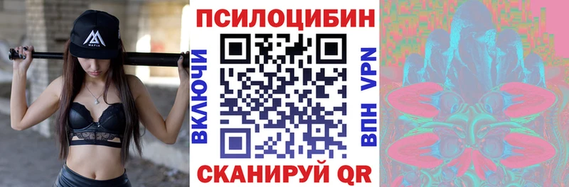 Купить закладки  Балаково  Псилоцибиновые грибы Cubensis 